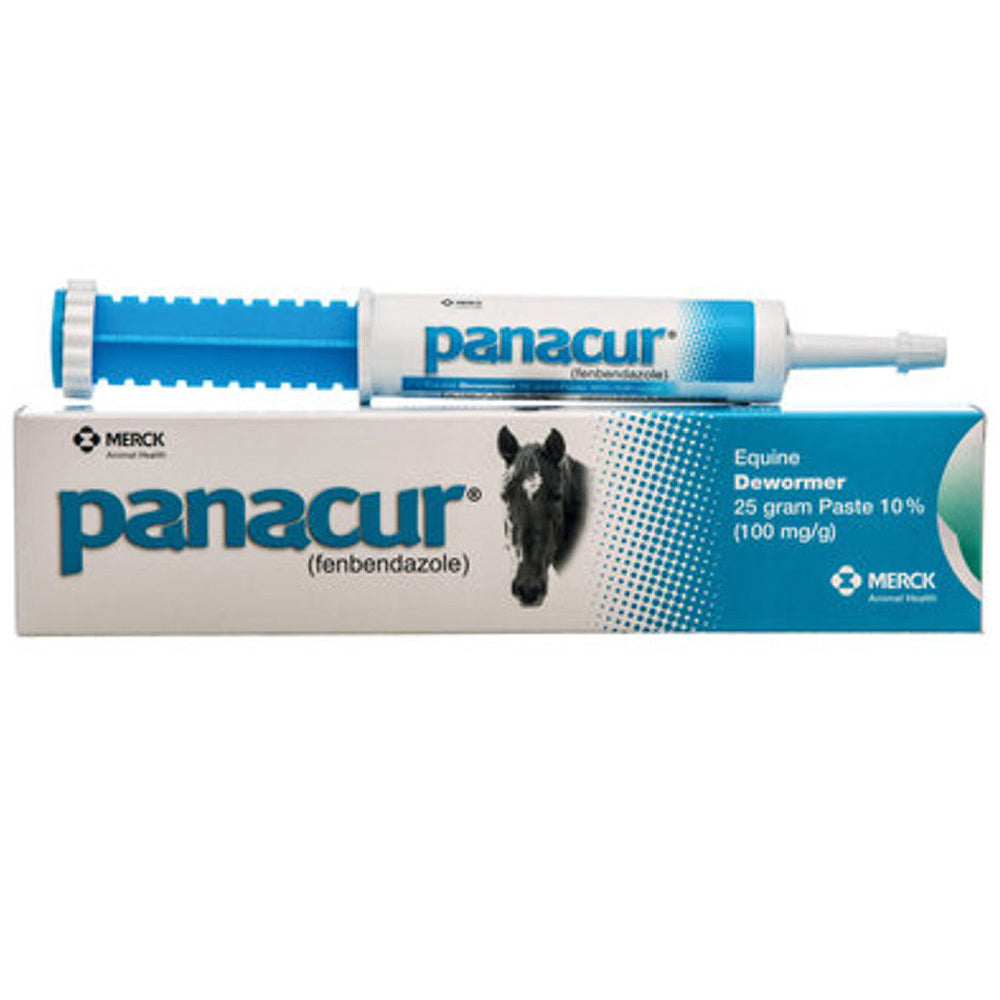 Panacur Equine Paste 10% Horse Wormer 100mg 1 X 25 Grams Apple Flavor