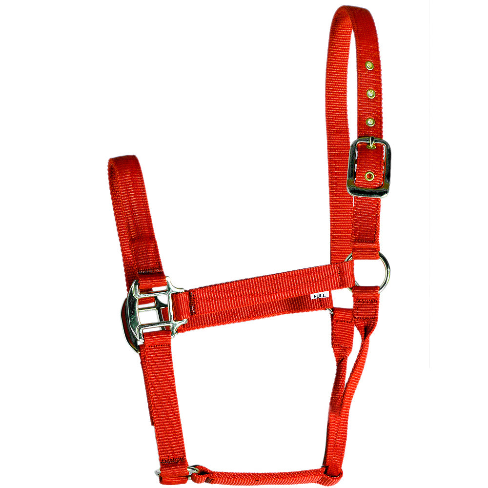 Hilason Western Horse Premium Nylon Rolled Throat Strap Halter