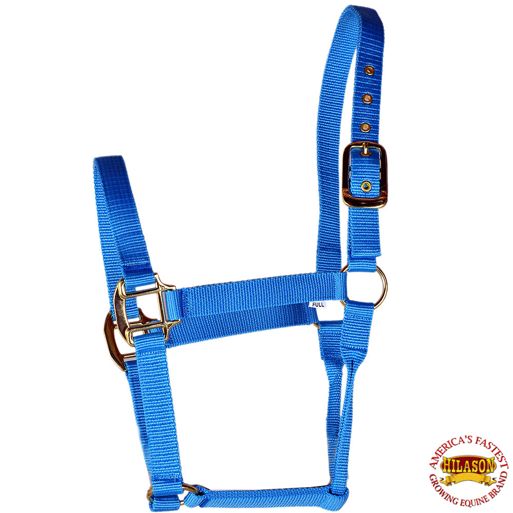 Hilason Premium Nylon Horse Halter Turquoise Rolled Throat Strap