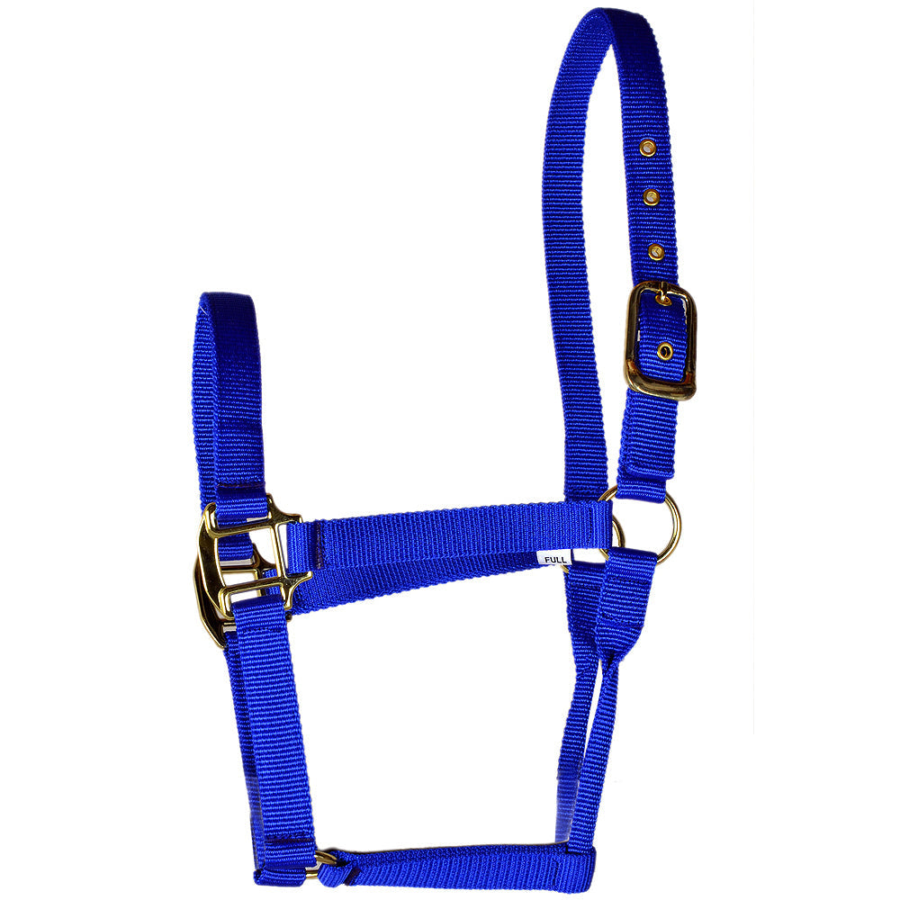 Hilason Premium Nylon Horse Halter Royal Blue Rolled Throat Strap