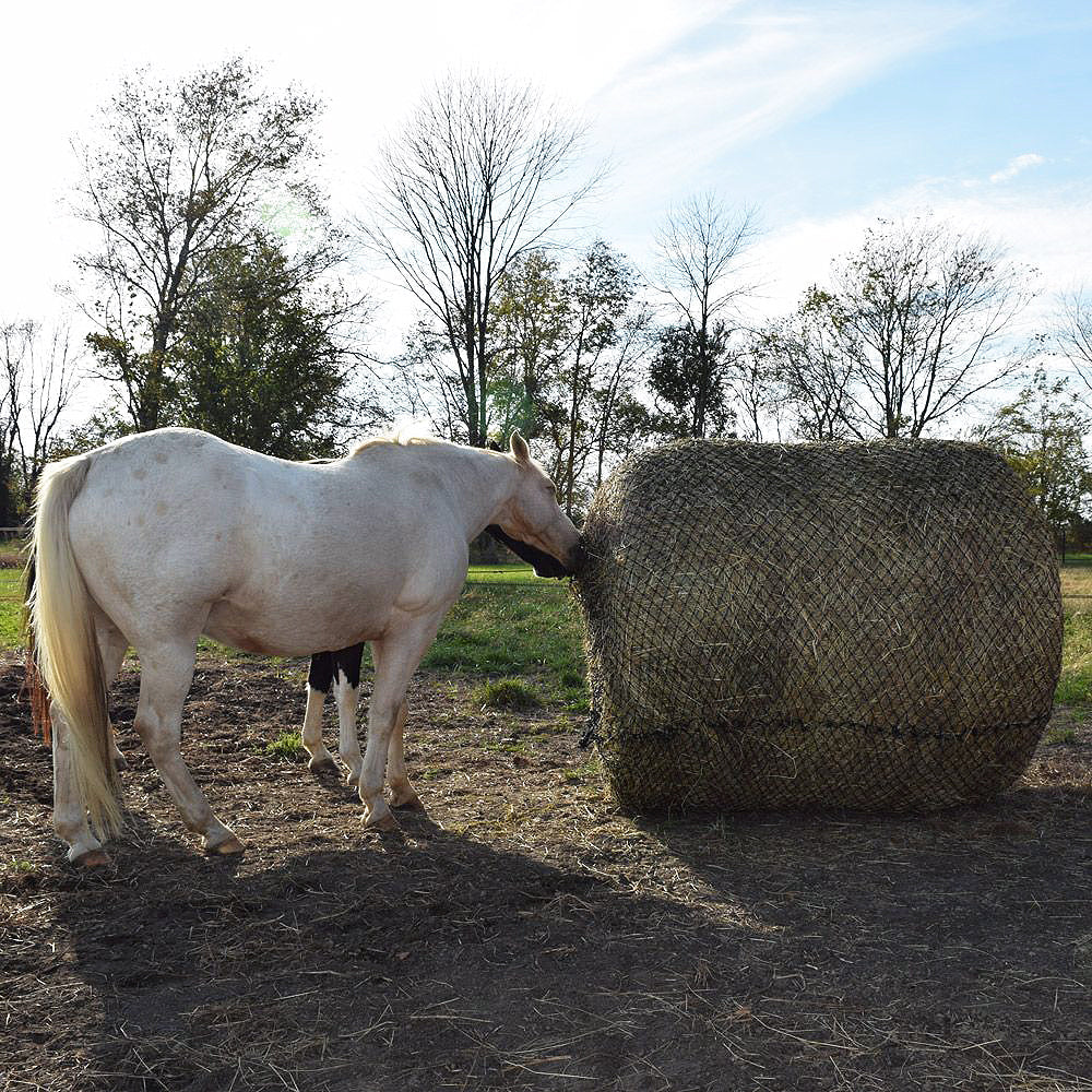 6Ft X Tough 1 Deluxe Round Bale Slow Horse Feed Hay Net