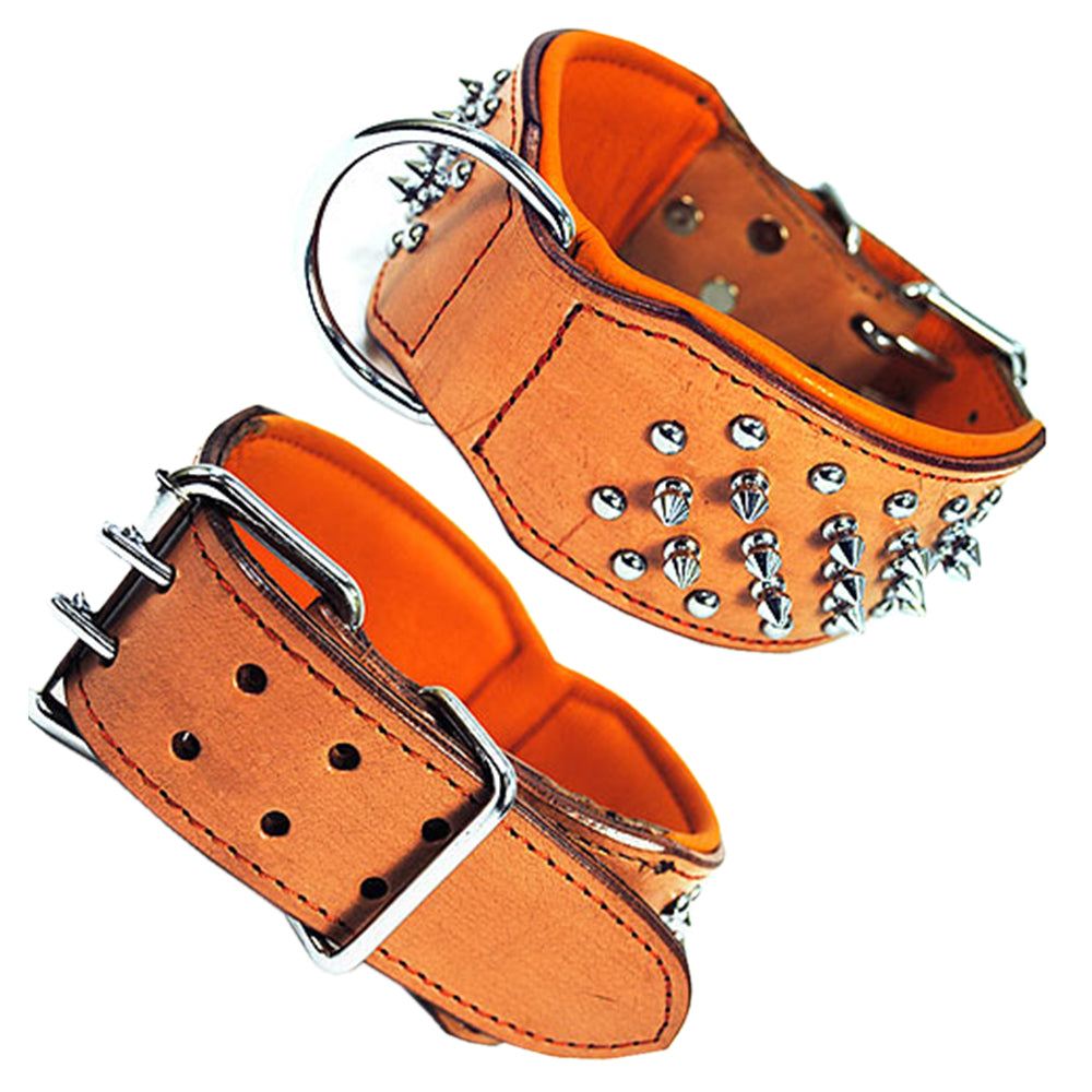 Hilason Western Style Heavy Duty Spiked Leather Pet Dog Collar