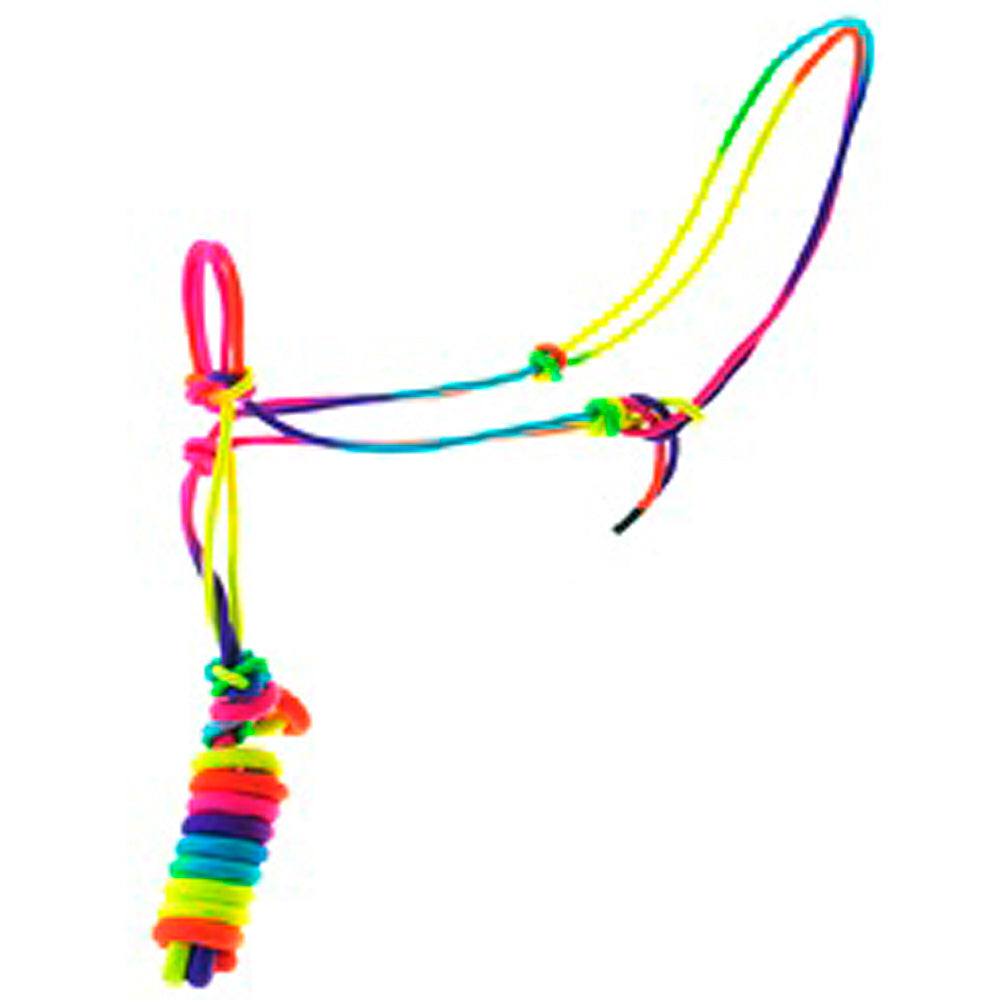 8 Ft Hilason Horse Halter Basic Poly Rope With Lead Rainbow