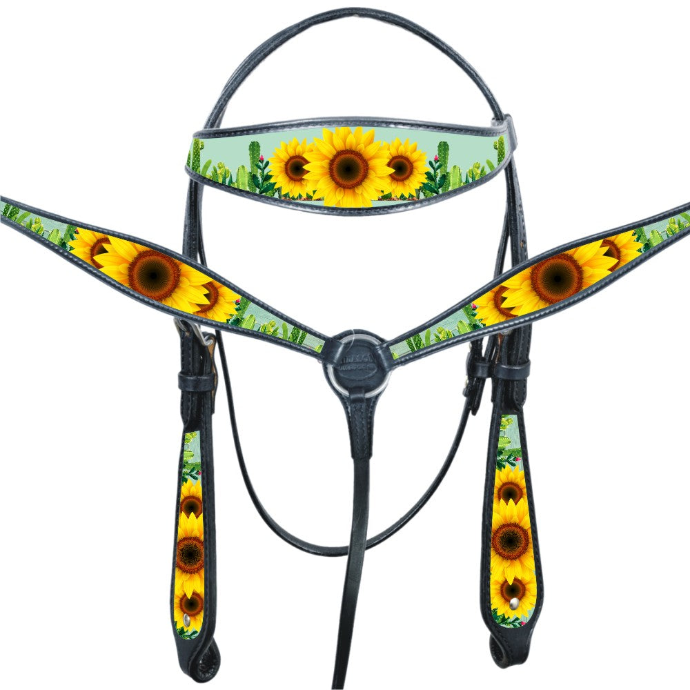HILASON Western Horse Headstall Breast Collar Set American Leather Black | Tack for Horses