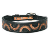 HILASON Western Genuine Leather Heavy Duty Hand Painted Dog Collar
