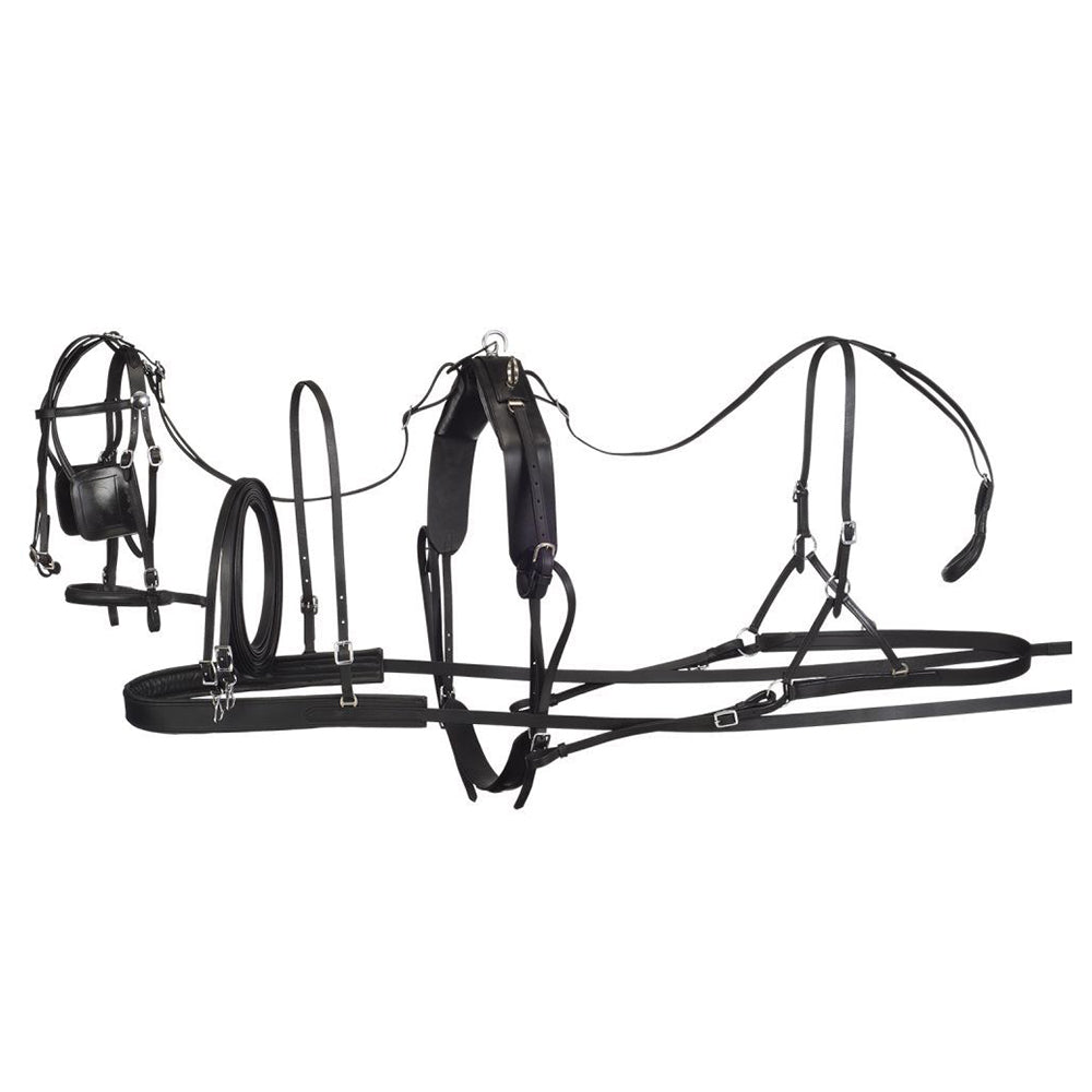 Medium Tough 1 Western Horse Royal King Genuine Leather Pony Harness Black