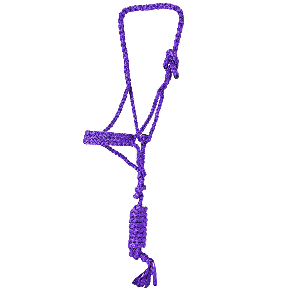 HILASON Western Horse Halter Basic Poly Rope with Lead Floral Leather 10 Ft | Halters for Horses and