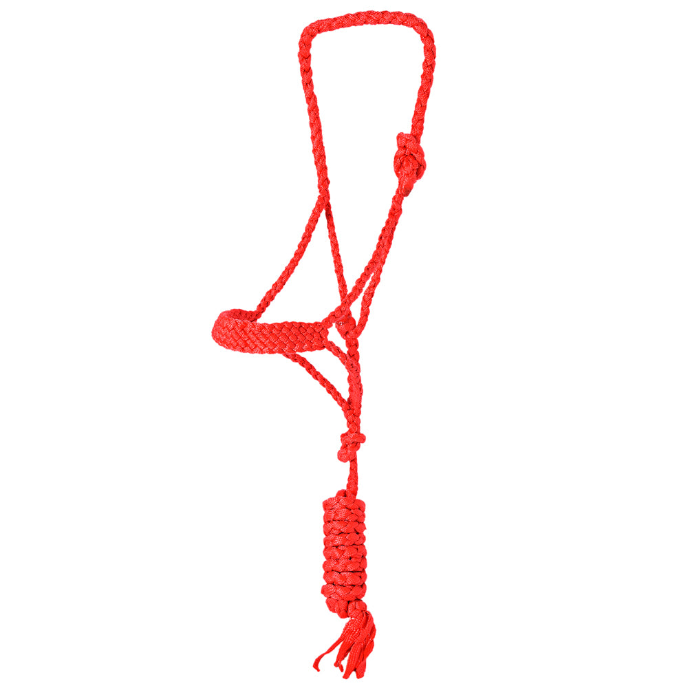 HILASON Western Horse Halter Basic Poly Rope with Lead Floral Leather 10 Ft | Halters for Horses and