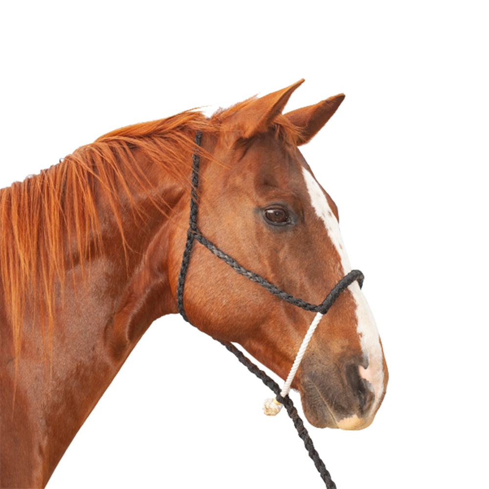 Classic Equine Strong and resilient Rope Nose Halter with Lead Black
