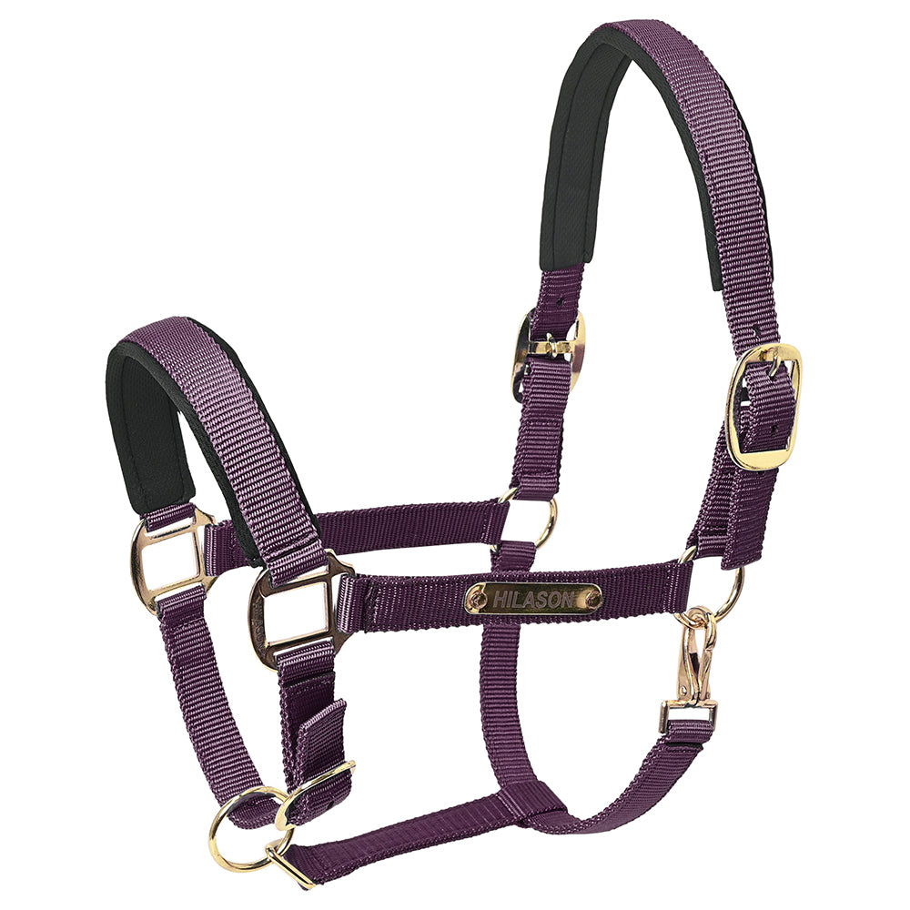 HILASON Western Safety Horse Halter Comfortable and Flexible | Nylon Halters Adjustable Cute