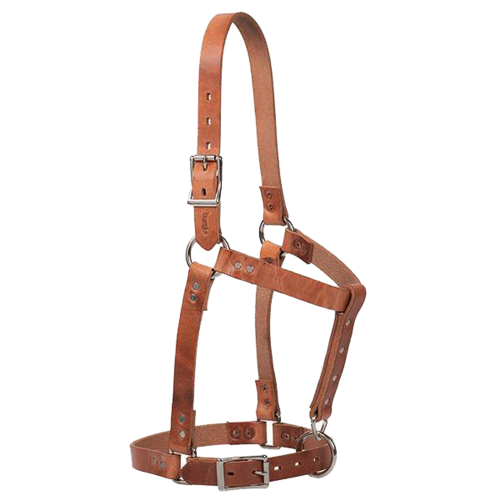 5/8" WeaveråÊLeather Western Horse Riveted Genuine Leather Halter Canyon Rose