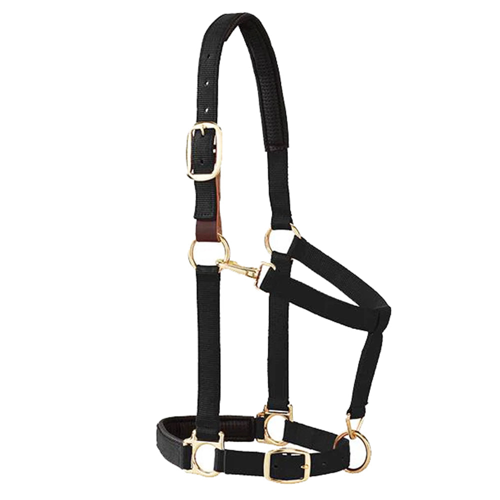 WeaveråÊLeather Horse Padded Breakaway Adjustable Chin Throat Snap Halter