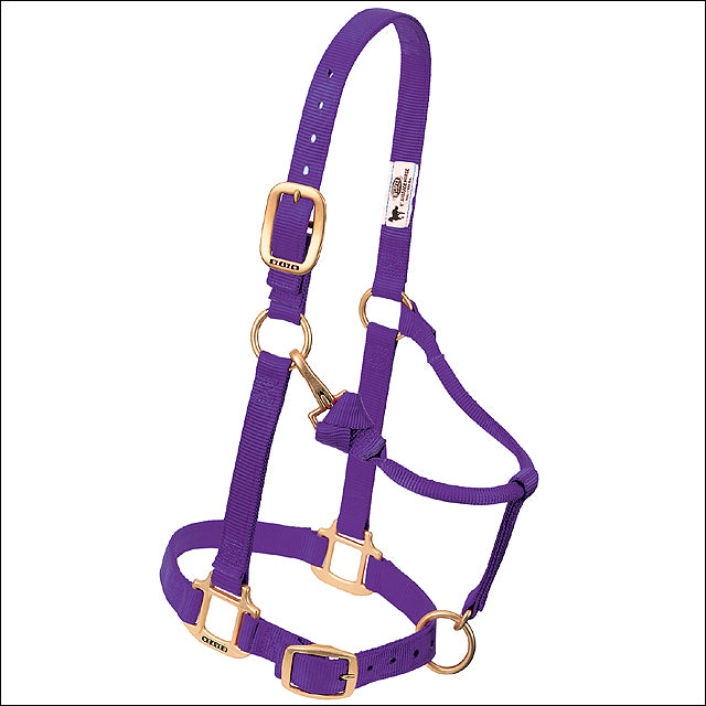 Large Weaver Horse Halter Nylon Heat Sealed Buckle Chin Throat Purple
