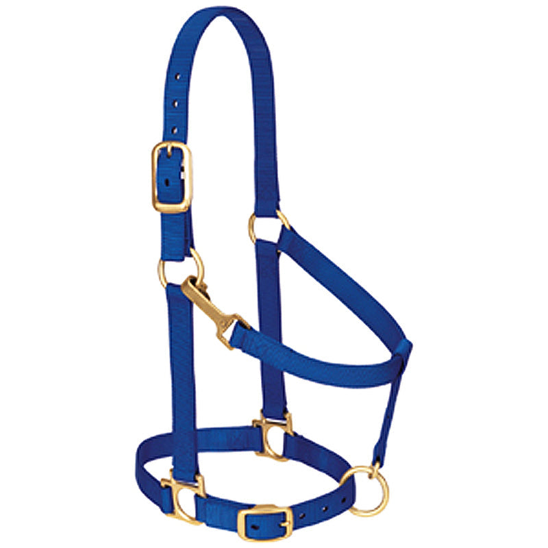 Blue Nylon Basic Adjustable Chin And Throat Snap Horse Halter By Weaver Lether