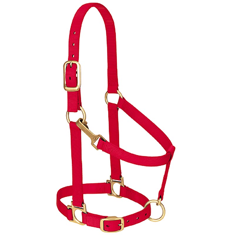 Red Nylon Basic Adjustable Chin And Throat Snap Horse Halter By Weaver Lether