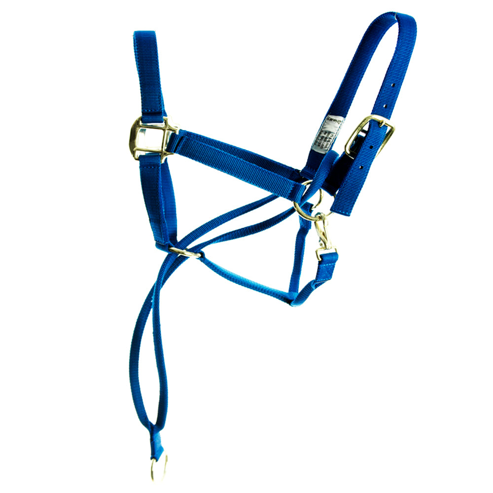 HILASON Nylon Training Halter with Poll Pressure Strap 1" Heavy Duty Adjustable