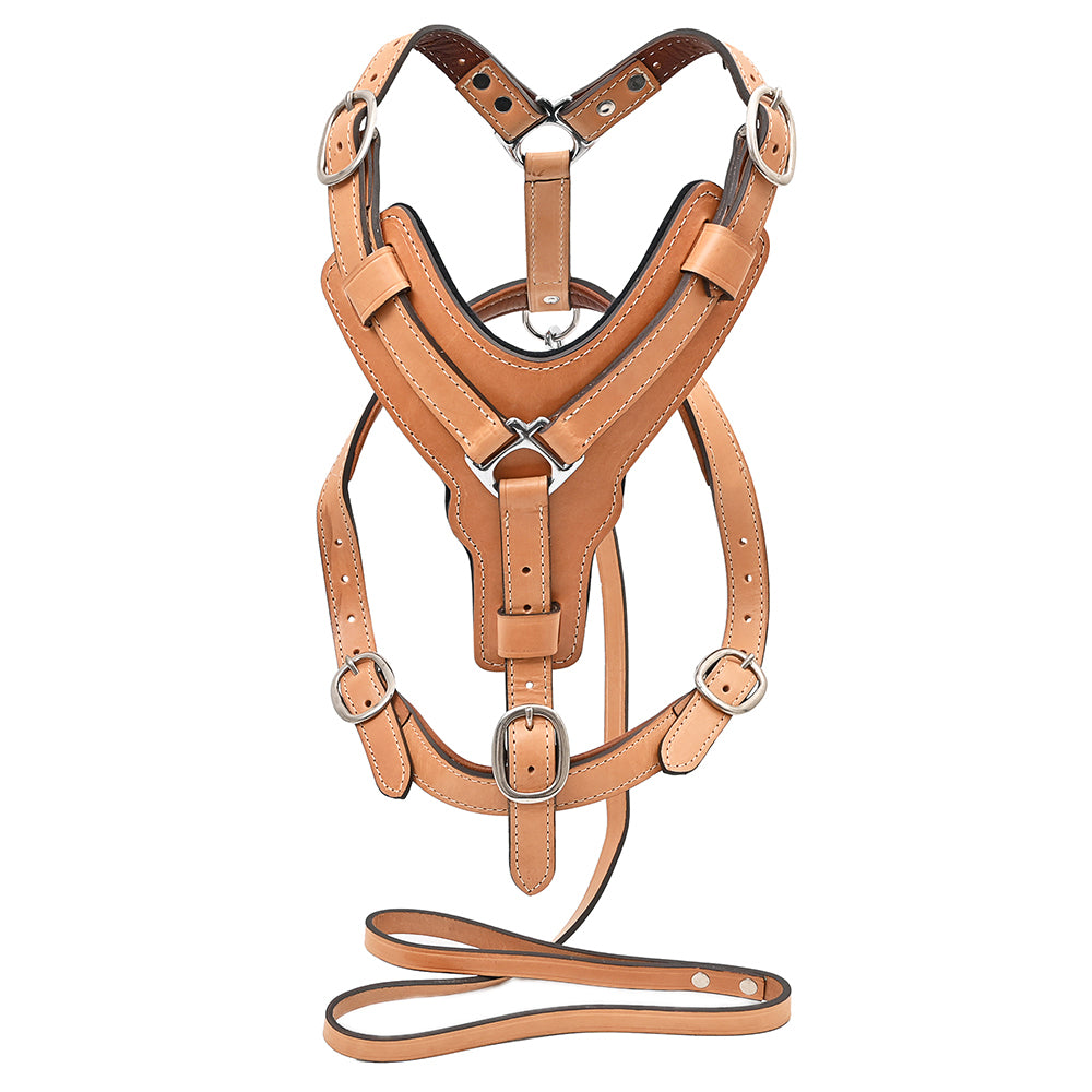 Large Leather Dog Harness Tan Padded Genuine With Matching Leash Hilason