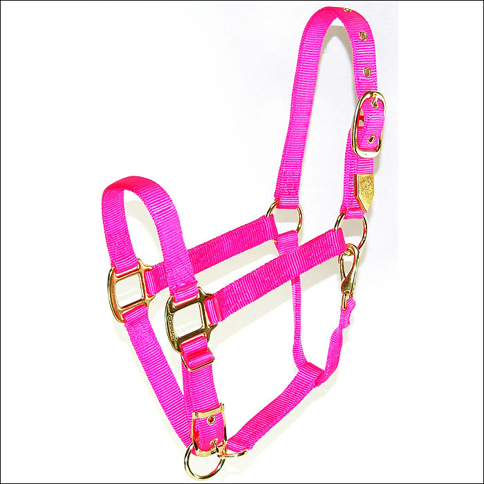 Large 1" Nylon Horse Adjustable Chin Halter With Snap By Hamilton Products Usa