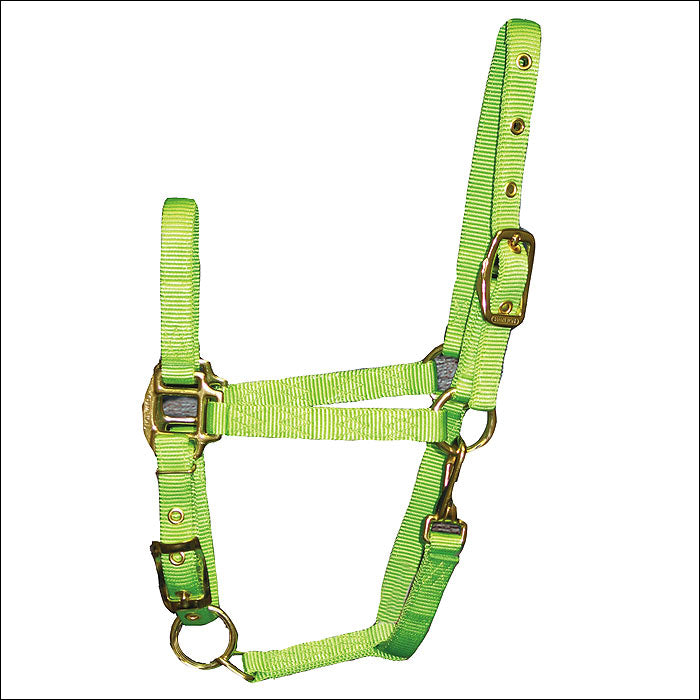 S76 3/4 Inch Weanling Horse Adjustable Chin Halter Snap By Hamilton Products Us