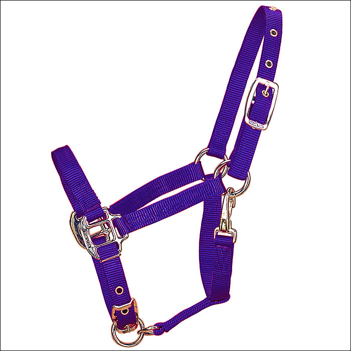 3/4 Inch Weanling Horse Adjustable Chin Halter Snap By Hamilton Products Us