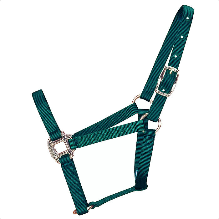 3/4" Weanling Quality Nylon Horse Halter Hamilton Products Usa Dark Green