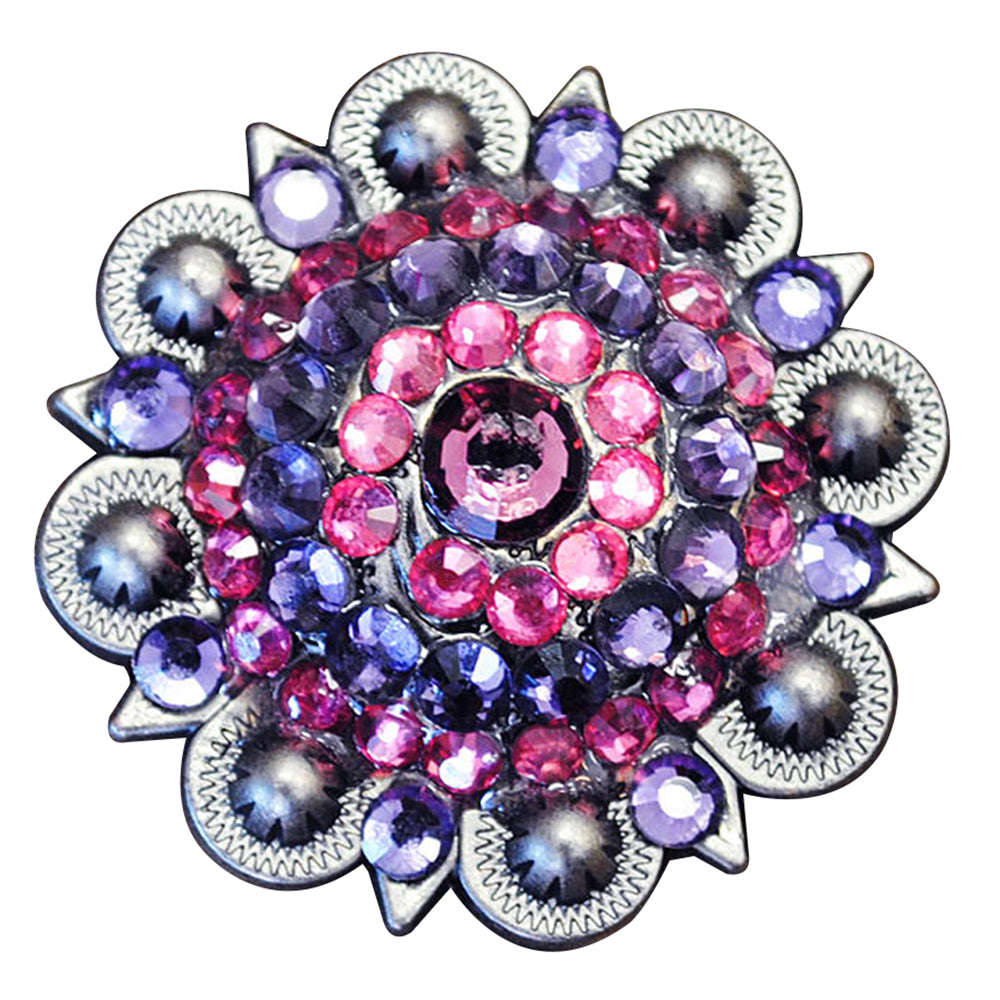 HILASON Western Screw Back Pink & Purple Rhinestone Crystal Bling Berry Concho