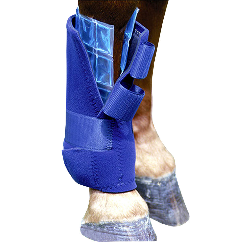 Professional Choice Horse Leg Non Toxic Flexible Ice Cells Cold Therapy Pair