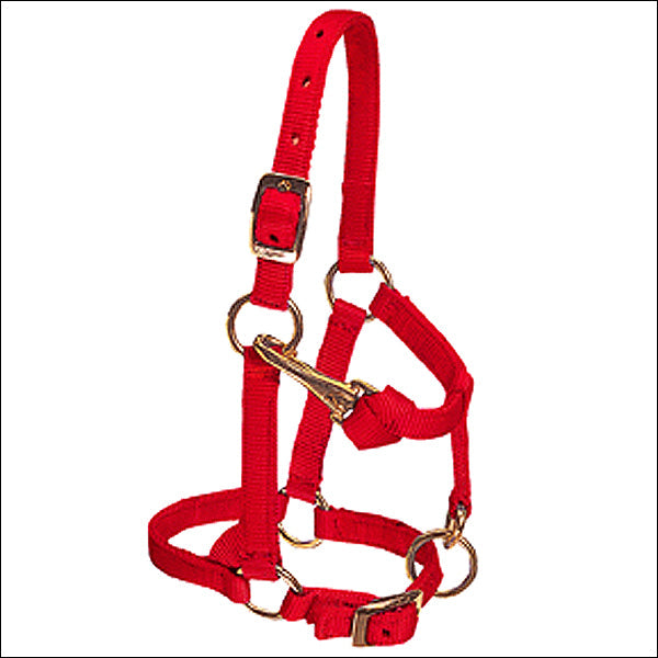 Weaver Red Large Nylon Miniature Horse Adjustable Chin Throat Snap Halter