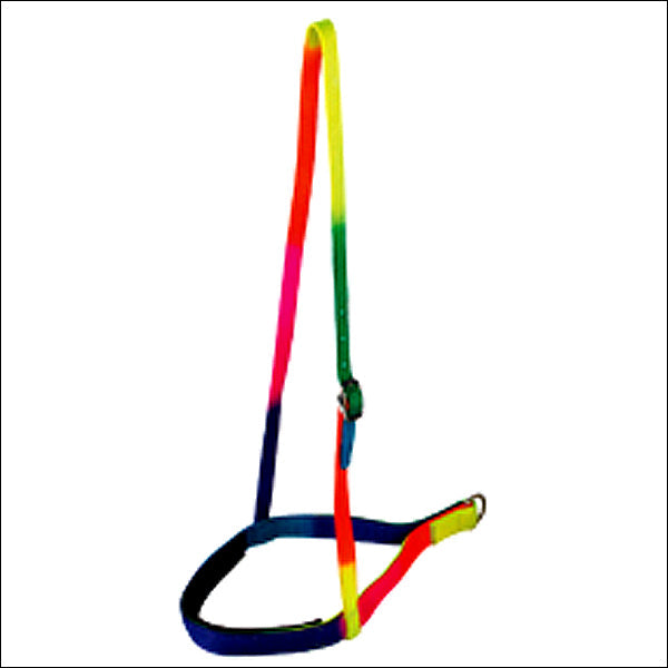 Hilason Rainbow 1 Inch 2 Ply Nylon Horse Noseband Western Tack