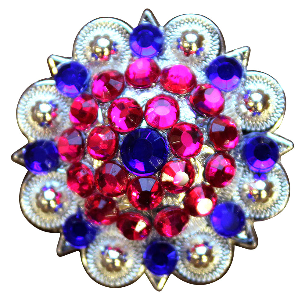 HILASON Blue Pink Crystal 1-1/4In Berry Headstall Saddle | Slotted Conchos Leather Screw Back