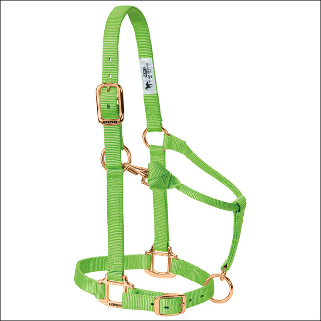 Lime Zest Weaver Original Adjustable Chin Throat Snap Halter 3/4" Suckling