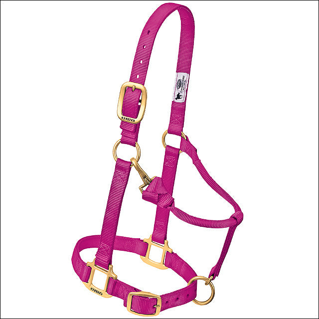 Raspberry Weaver Original Adjustable Chin Throat Snap Halter 3/4" Weanling Pony