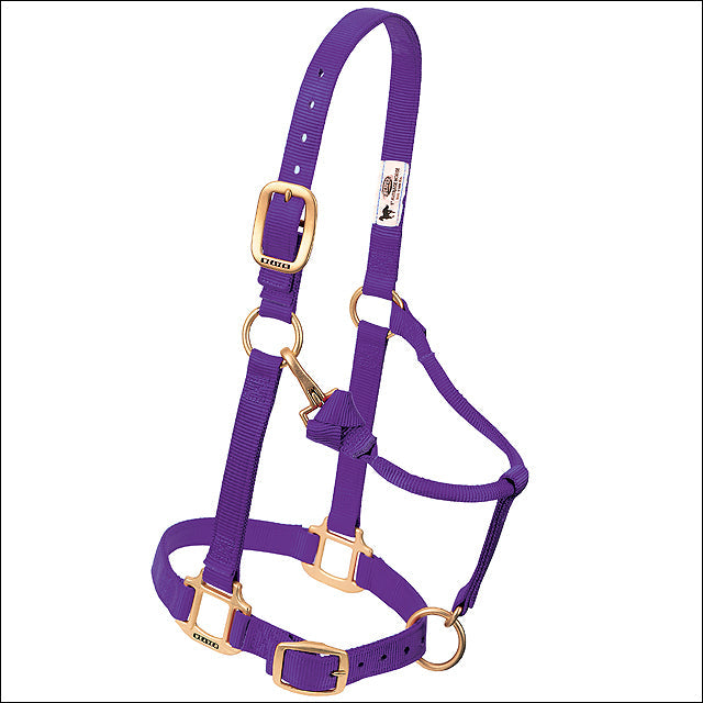 Weaver Purple Horse Nylon Halter Adjustable Chin 3/4" Arabian/Cob