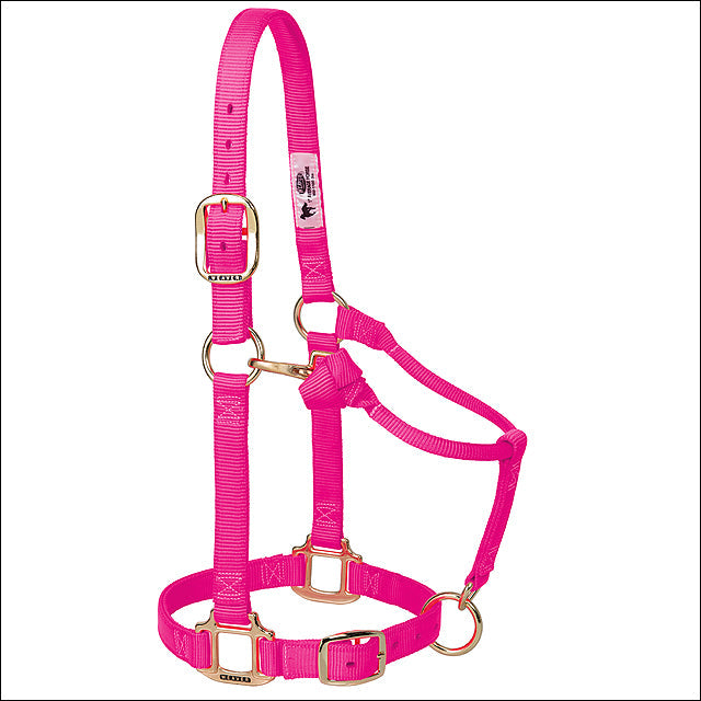 Diva Pink Green Weaver Western Tack Adjustable Horse Halter 1" Average