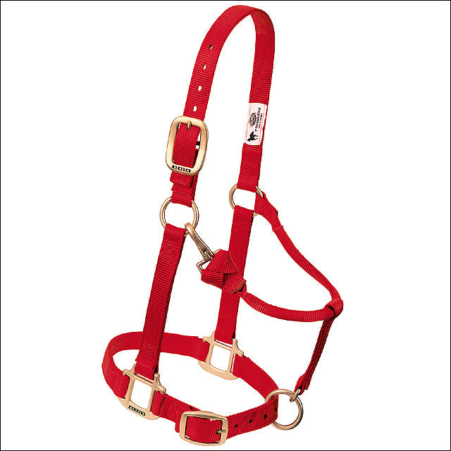 Red Weaver Western Tack Adjustable Horse Halter 1" Average