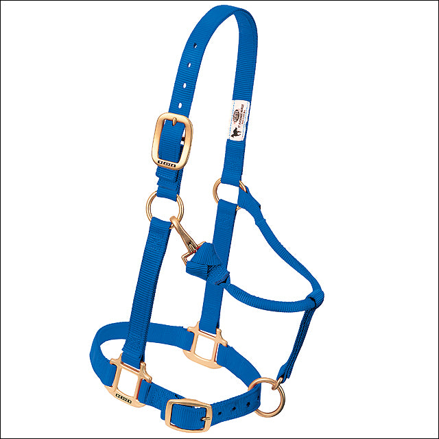 Large Weaver Horse Halter Nylon Heat Sealed Buckle Chin Throat Bue