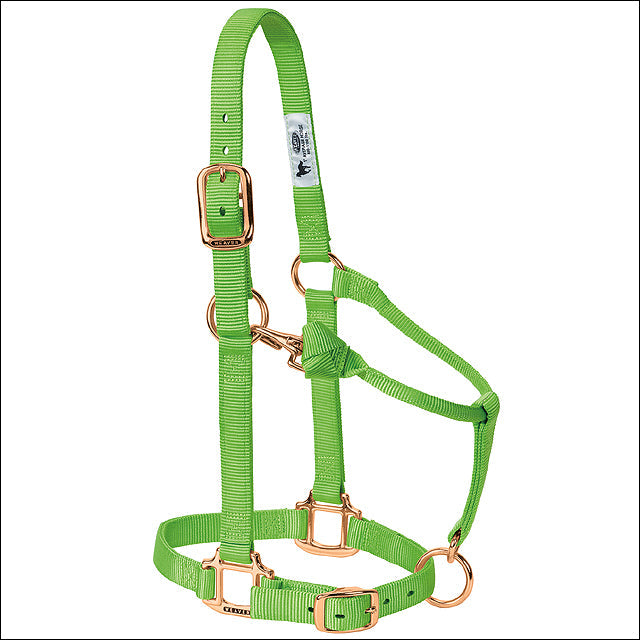 Large Weaver Horse Halter Nylon Heat Sealed Buckle Chin Throat Lime