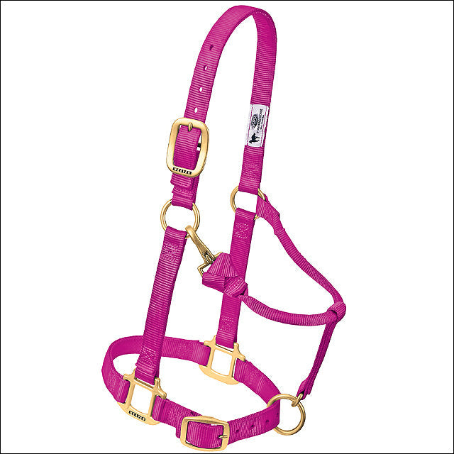 Large Weaver Horse Halter Nylon Heat Sealed Buckle Chin Throat Raspberry