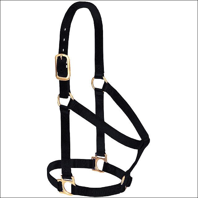 Black Weaver Western Tack Basic Horse Halter 1" Small Weanling Draft