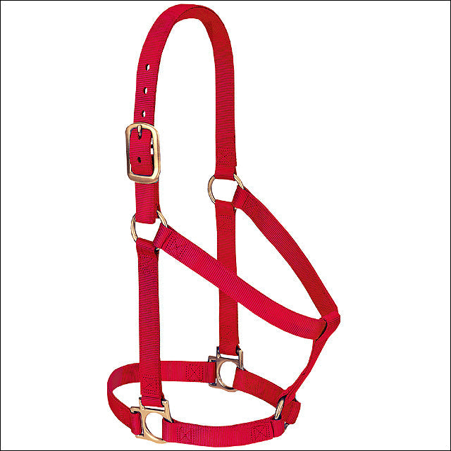 Red Weaver Western Tack Basic Horse Halter 1" Small Weanling Draft