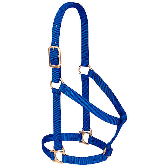 Blue Weaver Western Tack Basic Horse Halter 1" Large Old Draft
