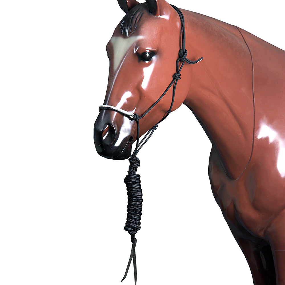 Classic Equine Horse Nylon Rawhide Noseband Halter Black White