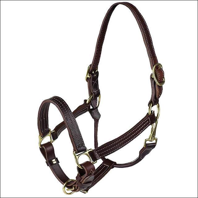 Regular Horze American Quality Horse Leather Halter Dark Brown