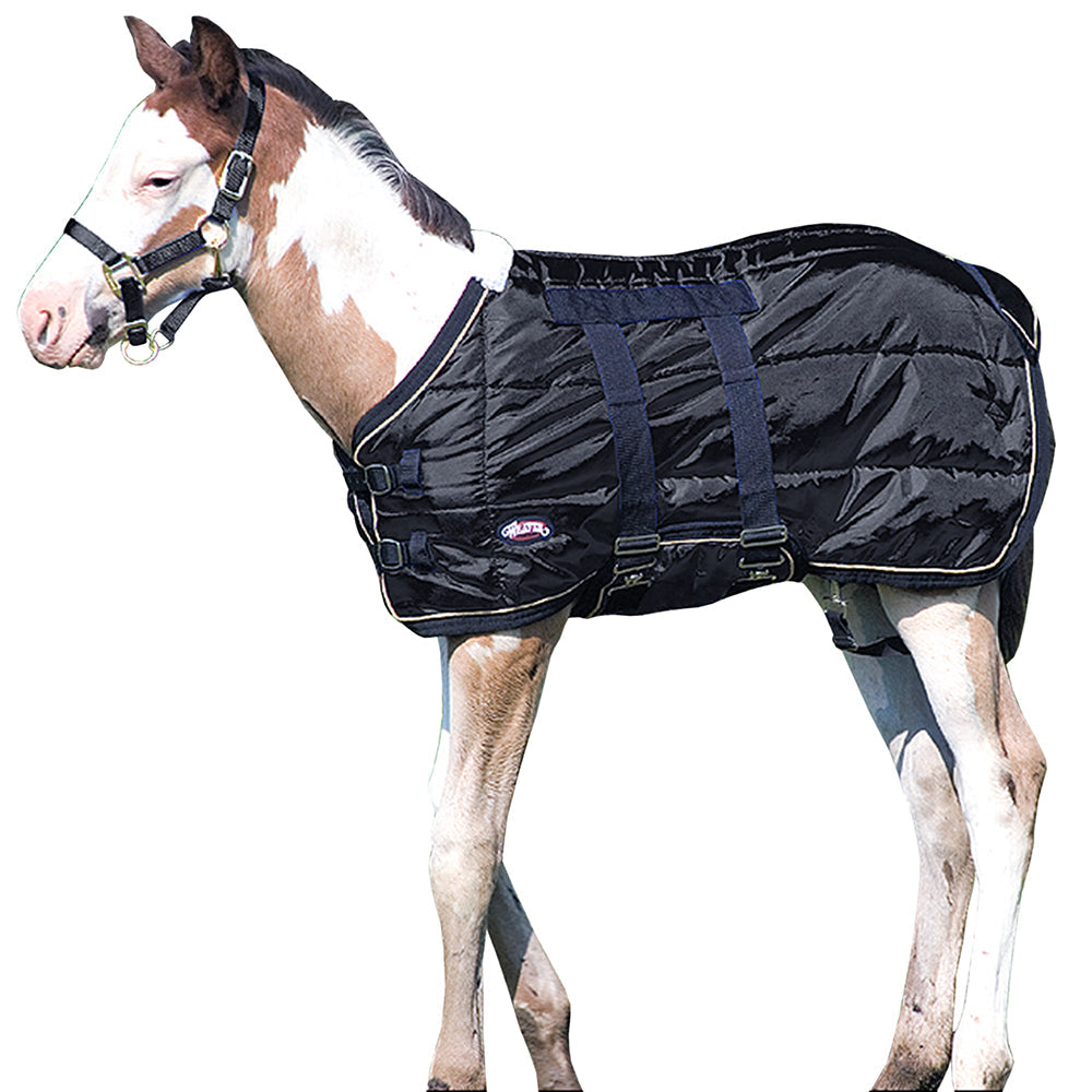 39" Weaver Leather Cold Weather 420D Foal Horse Blanket W/ Belly Strap Black