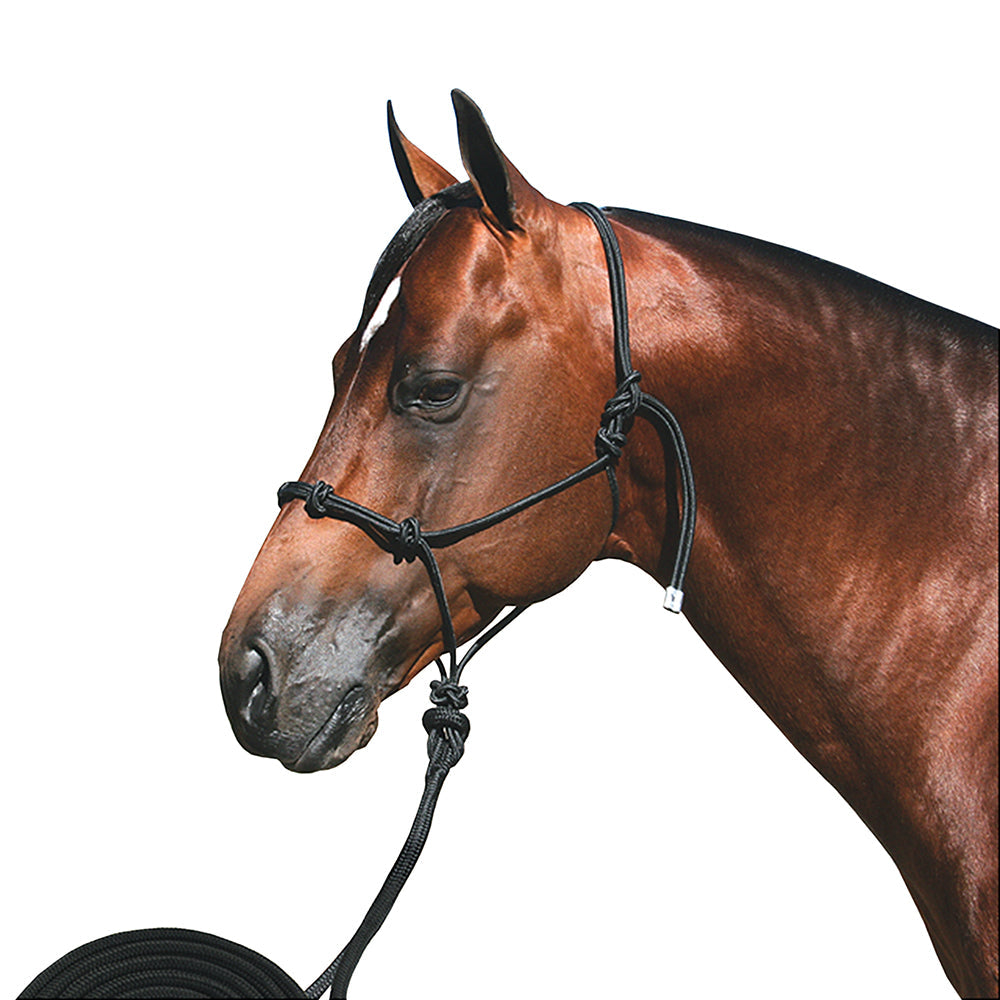 15 Ft. Professional Choice Horse Halter Clinician Knots Rope Black