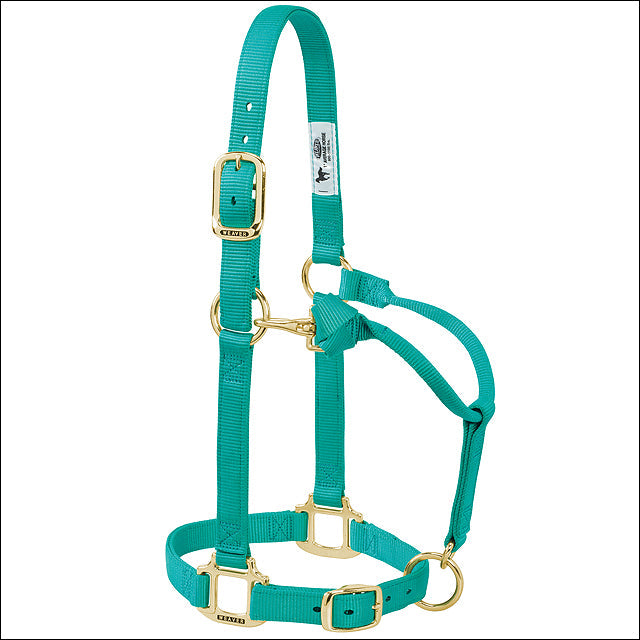 Weaver Western Tack Adjustable Horse Halter 1" Average Brass Snap Green
