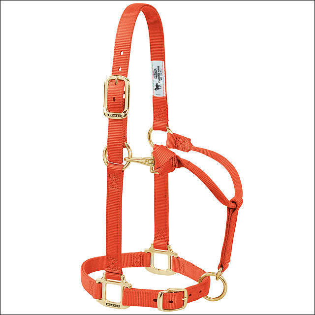 Large Weaver Horse Halter Nylon Heat Sealed Buckle Chin Throat Orange