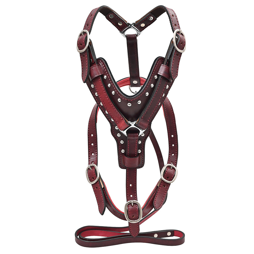 Large Leather Dog Harness Mahogany Genuine With Matching Leash Hilason