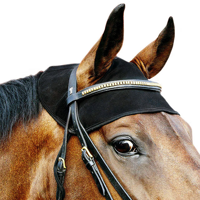Medium Large Back On Track Horse Equine Polyester Cotton Head Cap Black