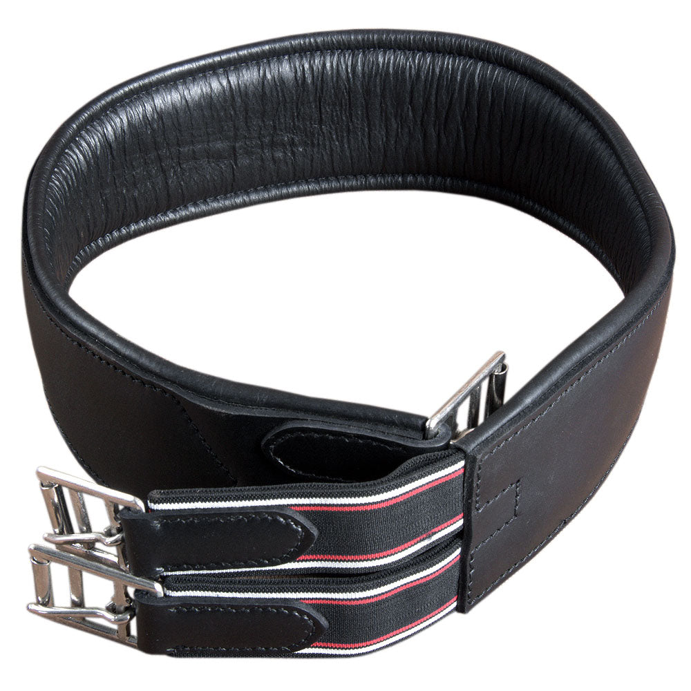 HILASON Padded Leather Horse English Saddle Girth Cinch Roller Buckles | Strap for Horses Back Western